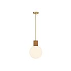 Savoy House 7-4082-1-322 Jarrell 1-Luminaire 60W Laiton chaud Incandescente/LED Suspendu