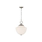 Savoy House 7-6999-1-SN Montrose 1-Luminaire 60W Nickel satiné Incandescente/LED Suspendu