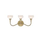 Savoy House 8-5081-3-127 Florena 3-Luminaires 18W Laiton Incandescente/LED Luminaire de vanité