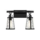 Luminaire de vanité Savoy House 8-560-2-BK Albany 2 Lumières 120W Noir