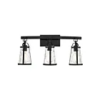 Luminaire de vanité Savoy House 8-560-3-BK Albany 3 Lumières 180W Noir