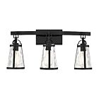 Luminaire de vanité Savoy House 8-560-3-BK Albany 3 Lumières 180W Noir