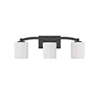 Luminaire de vanité Savoy House Essentials 8-7710-3-BK Whitney 3 Lumières 180W Noir mat