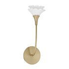 Savoy House 9-5081-1-127 Florena 1-Luminaire 6W Laiton Incandescente/LED Applique murale d'intérieur