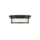 Plafonnier Savoy House Meridian M60062Mbk 2 Lumières 120W Noir Mat