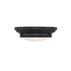 Plafonnier Savoy House Meridian M60063Mbk 2 Lumières 120W Noir Mat