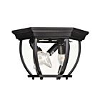 Plafonnier Extérieur Savoy House Meridian M50059Bk 3 Lumières 120W Noir