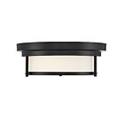 Plafonnier Savoy House Meridian M60062Mbk 2 Lumières 120W Noir Mat