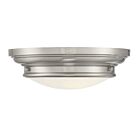 Plafonnier Savoy House Meridian M60063Bn 2 Lumières 120W Nickel Brossé