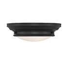 Plafonnier Savoy House Meridian M60063Mbk 2 Lumières 120W Noir Mat