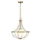 Savoy House M7047NB 1-Lumière 60W Laiton naturel Suspendu