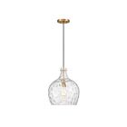 Savoy House M7053NB 1-Lumière 60W Laiton naturel Suspendu
