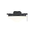 Kit d'éclairage de ventilateur à 2 lumières Savoy House Meridian M2027MBK 10.5" Noir mat