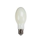 TCP FED28N25040E39FR 40W E39 LED filament Ampoule 