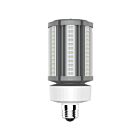 Ampoule de remplacement LED HID en forme d'épi de maïs Tcp L36CCE26U50K 37W 5000K