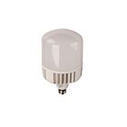 Ampoule LED HID directionnel TCP LHID10040 25W