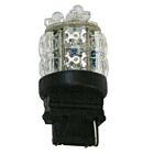 Techspan Tech-735137 Ambre Incandescent Ampoule automobile (paquet de 10)