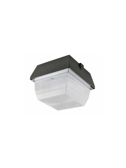 1naturaled_led-fxpg60-50k-db