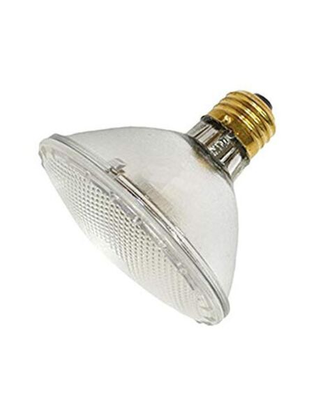 eiko_35par30-h-fl-120v