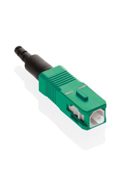 49991-ASC_1000
