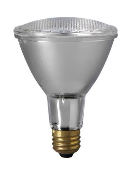 eiko_60par30ln-h-nfl-120v