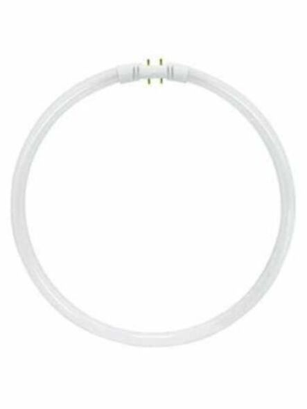 T5 Circline Fluorescent 2GX13 4-Pin 3500K