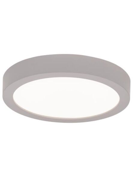 access-lighting_20070ledd-silv-acr
