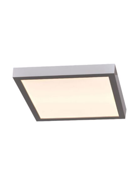access-lighting_20075ledd-silv-acr