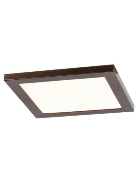 access-lighting_20815ledd-brz-acr