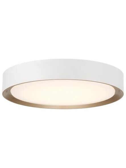 access-lighting_49971leddcs-mwh-acr