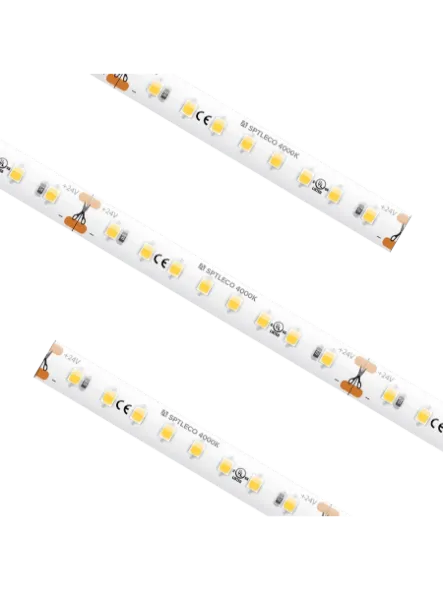 american-lighting_sptleco-wh_1