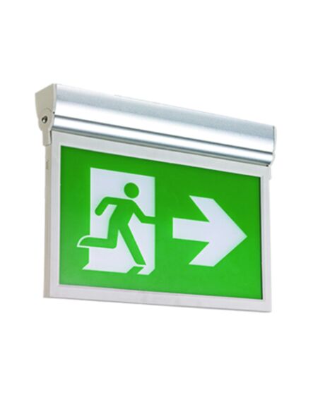 arani-ex-rm1-2w-dc-v1
