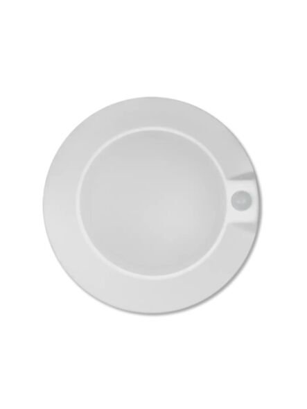 arani_cl07-14w-var-ms-wh-v4_1