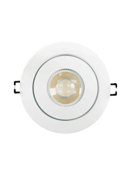 arani_slfl4-var-r-wh-v4_1