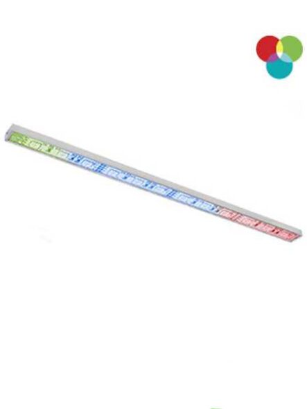 bazz_u1602r-1