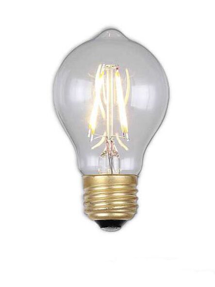 Canarm A60 LED 4W Filament Bulb Vintage Model B-LA60-4
