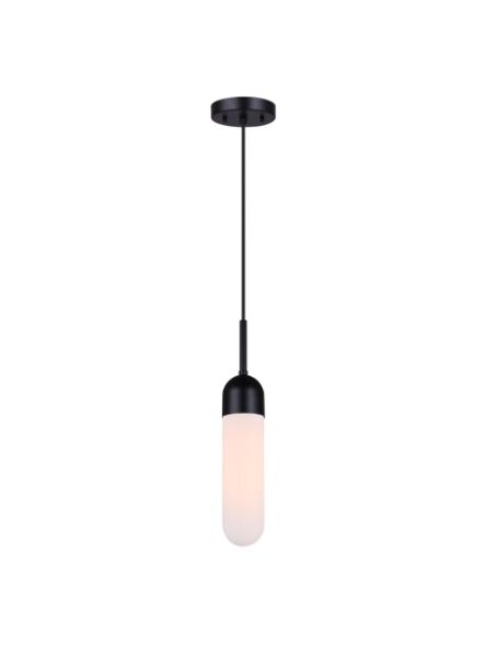 canarm_ipl1126a01bk