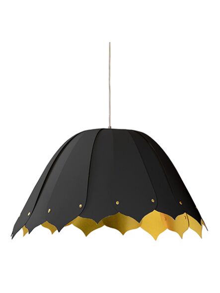 dainolite-noa151-m-698