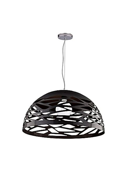 dainolite_cor-201p-bk