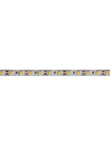 dainolite_dlt-17327