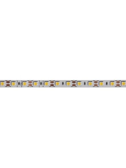 dainolite_dlt-17340