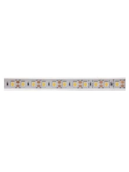 dainolite_dlt-od-3517