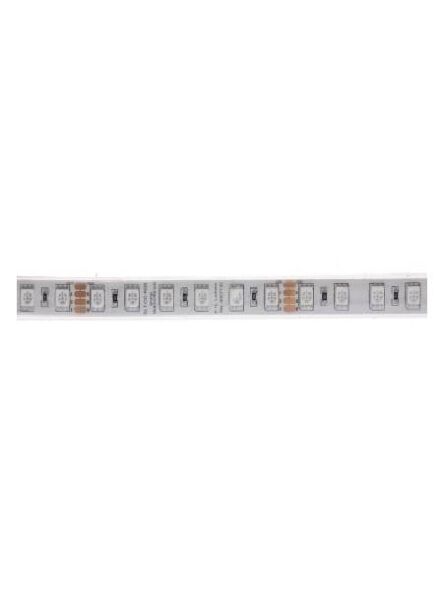 dainolite_dlt-od-rgb