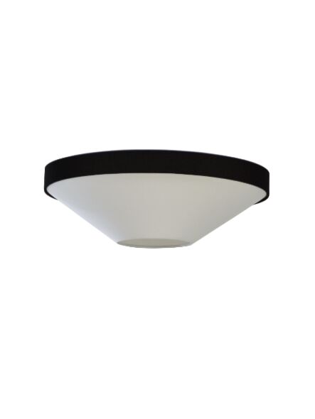 dainolite_pia-213fh-mb-bw