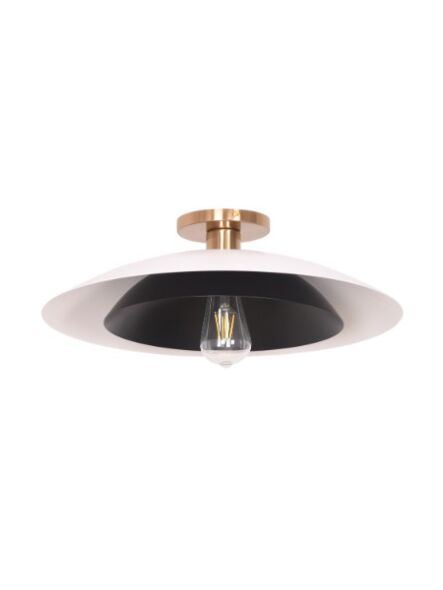 dainolite_pim-171sf-mw-mb_1