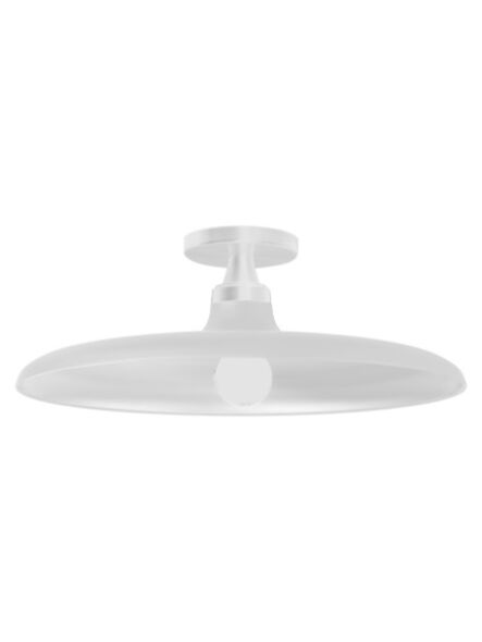 dainolite_qtn-181sf-mw_1