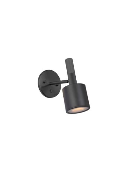 dainolite_rhs-1w-mb