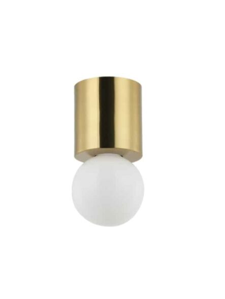 dainolite_trn-51fh-agb_1