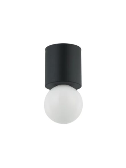 dainolite_trn-51fh-mb