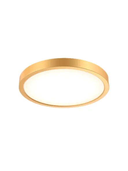 dals-lighting_cfledr10-cc-gd_1